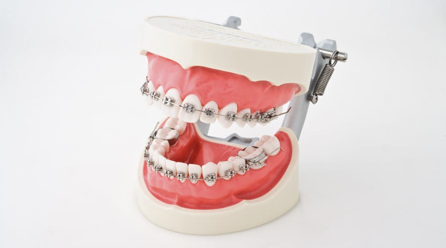 Orthodontics Models | MORITA